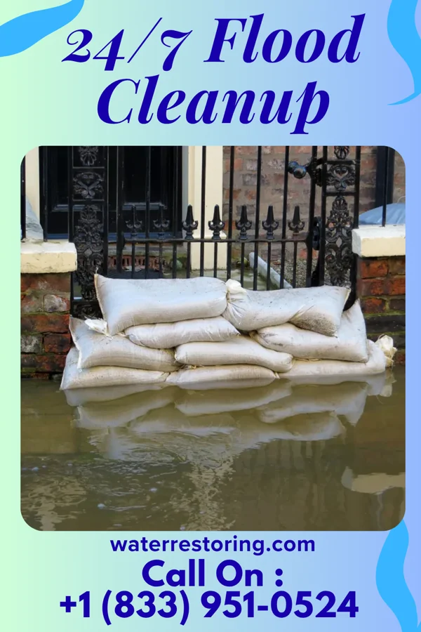 24/7 Flood Cleanup in Puerto de Luna, NM