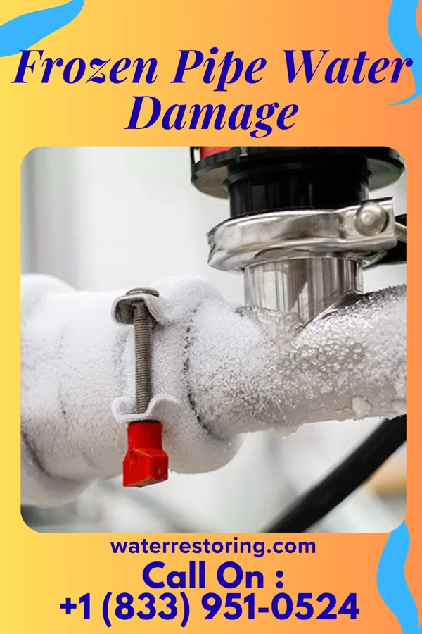 Frozen Pipe Water Damage in Puerto de Luna, NM