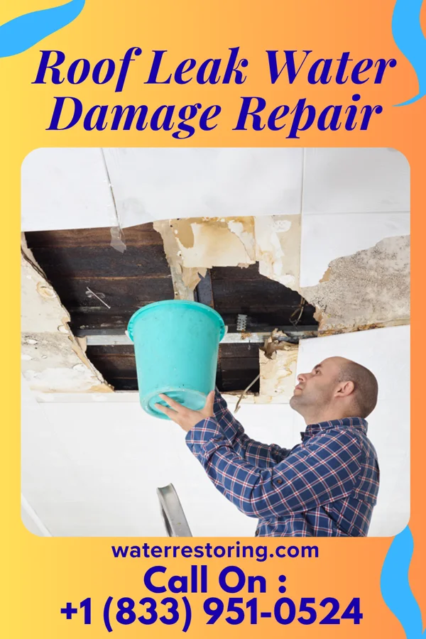 Roof Leak Water Damage Repair in Puerto de Luna, NM