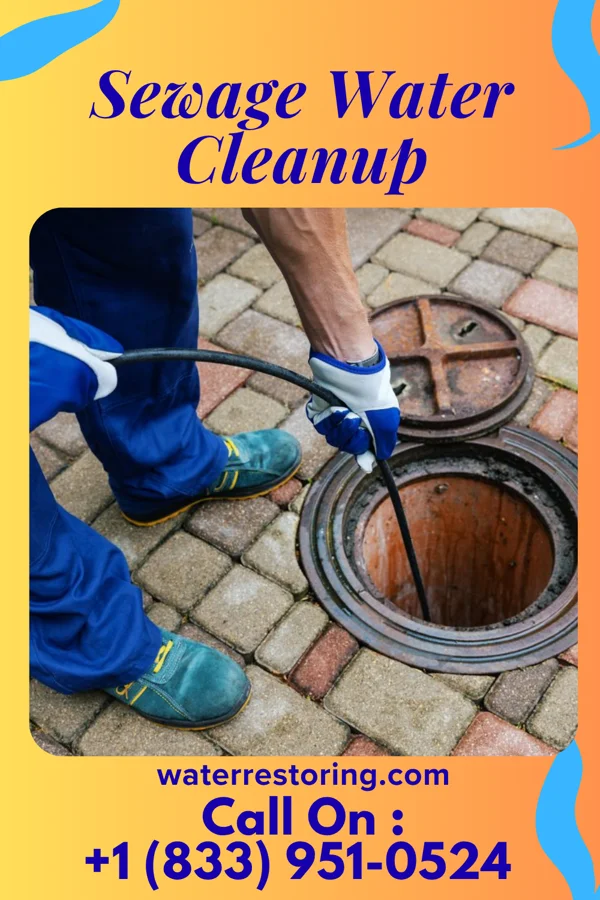 Sewage Water Cleanup in Puerto de Luna, NM